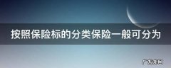 按照保险标的分类保险一般可分为 按照保险标的分类保险一般可分为几类