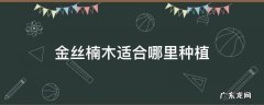 金丝楠木适合哪里种植 金丝楠木适合哪些地方种植
