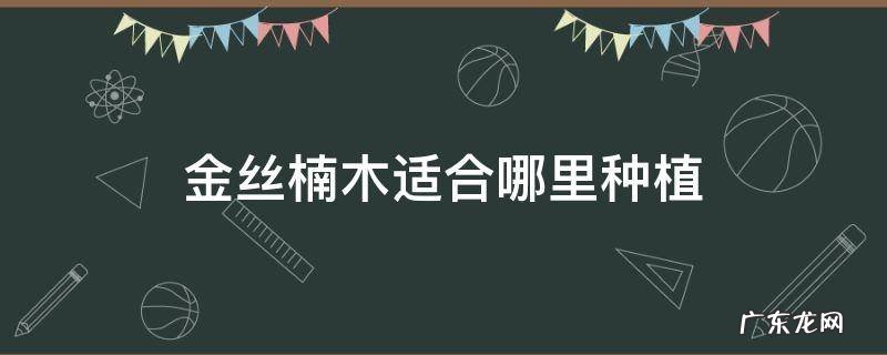 金丝楠木适合哪里种植 金丝楠木适合哪些地方种植