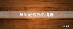 鱼缸底砂怎么清理粪便 鱼缸底砂怎么清理