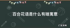 百合花语和寓意是什么意思 百合花语是什么有啥寓意