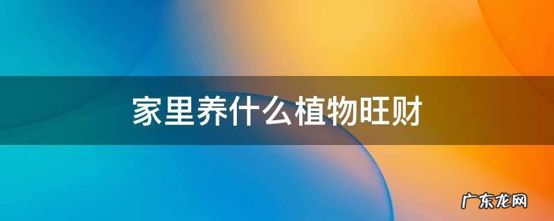 属蛇家里养什么植物旺财 家里养什么植物旺财