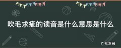 吹毛求疵的读音是什么意思是什么 吹毛求疵怎么读拼音