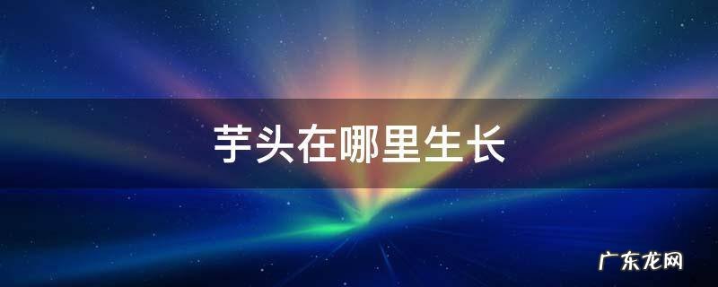 芋头适合在什么地方生长 芋头在哪里生长
