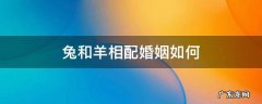 兔和羊相配婚姻如何生属什么的宝宝最好 兔和羊相配婚姻如何