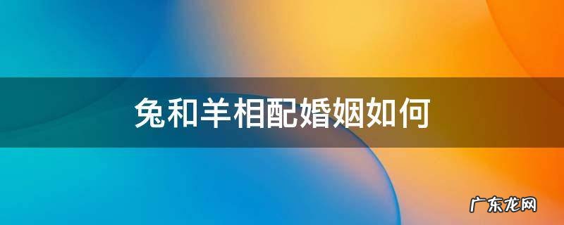 兔和羊相配婚姻如何生属什么的宝宝最好 兔和羊相配婚姻如何