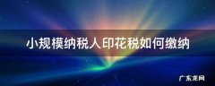 一般纳税人和小规模印花税缴纳 小规模纳税人印花税如何缴纳