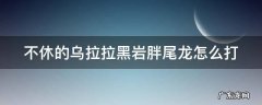 不休的乌拉拉黑岩胖尾龙打法 不休的乌拉拉黑岩胖尾龙怎么打