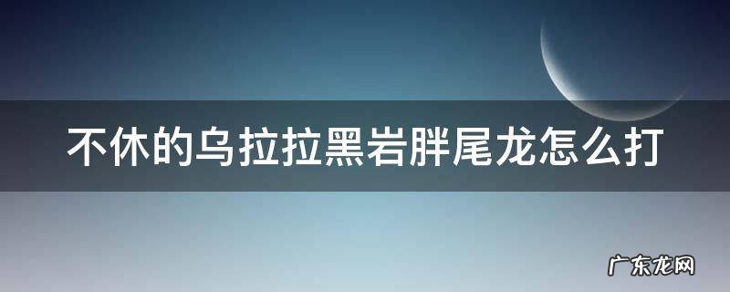 不休的乌拉拉黑岩胖尾龙打法 不休的乌拉拉黑岩胖尾龙怎么打