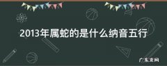 2013年属蛇的纳音是什么命 2013年属蛇的是什么纳音五行