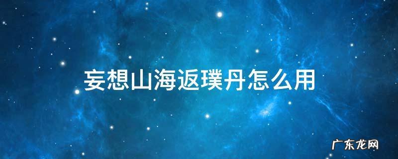 妄想山海返璞丹怎么用 妄想山海返璞丹怎么使用