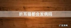 折耳猫都会发病吗 折耳猫会得病吗