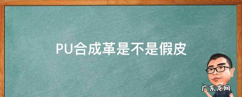 pu是合成皮革吗 PU合成革是不是假皮