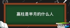 赢柱的老婆和芈月是什么关系 赢柱是芈月的什么人