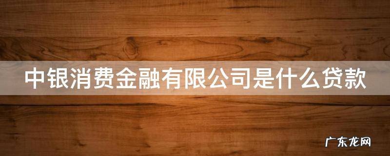 中银消费金融有限公司是什么贷款类型 中银消费金融有限公司是什么贷款