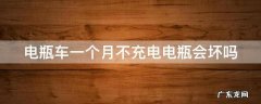 电瓶车一个月不充电电瓶会坏吗 电瓶车一个月不充电电瓶会坏吗