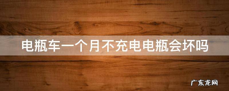 电瓶车一个月不充电电瓶会坏吗 电瓶车一个月不充电电瓶会坏吗