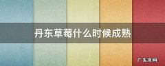 丹东草莓什么时候成熟上市 丹东草莓什么时候成熟