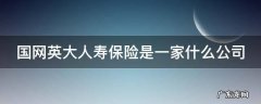国网英大人寿保险公司怎么样 国网英大人寿保险是一家什么公司