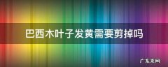 巴西木叶子发黄可以剪掉吗 巴西木叶子发黄需要剪掉吗