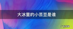 大冰的书中小芸豆照片 大冰里的小芸豆是谁