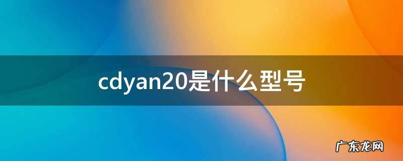 cdyan20是什么型号 cdyanoo什么型号