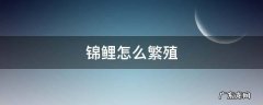 锦鲤怎么繁殖 锦鲤怎么繁殖下一代