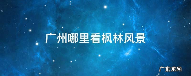 广州哪里看枫林风景 广州市看枫叶的地方