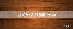 蓝莓冬季掉叶子吗 蓝莓冬天会掉叶子吗