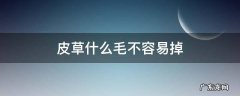 皮草为什么容易掉毛 皮草什么毛不容易掉