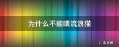为什么不可以喂流浪猫 为什么不能喂流浪猫