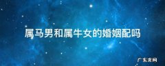 属马男和属牛女的婚姻相配吗 属马男和属牛女的婚姻配吗