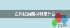 白鸭绒面料知识 白鸭绒的原材料是什么