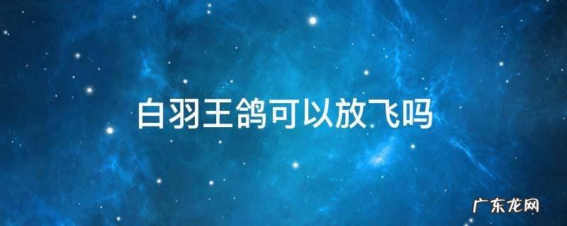 白羽王鸽能放飞吗 白羽王鸽可以放飞吗