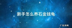 新手怎么养石金钱龟 石头金钱龟怎样养