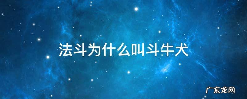 法斗为什么叫斗牛犬 法斗为啥叫斗牛犬