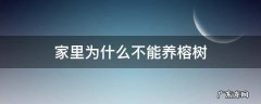 家里为什么不能养榕树盆景 家里为什么不能养榕树