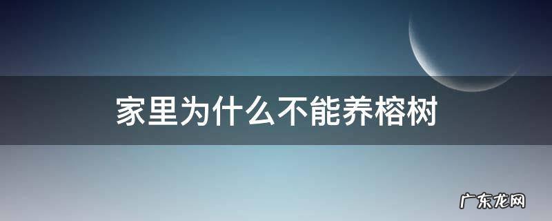 家里为什么不能养榕树盆景 家里为什么不能养榕树