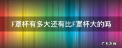 F罩杯有多大还有比F罩杯大的吗