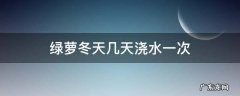 绿萝冬天几天浇水一次 绿萝在冬天几天浇一次水