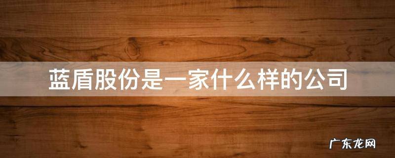 蓝盾股份是做什么的 蓝盾股份是一家什么样的公司