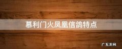 慕利门火凤凰信鸽特点 慕利门信鸽的特点