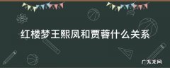 红楼梦里王熙凤和贾蓉什么关系 红楼梦王熙凤和贾蓉什么关系