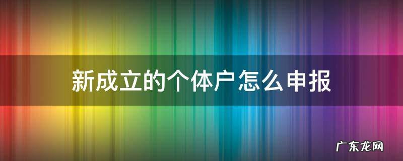 新成立的个体户怎么申报 个体户怎么申请注册