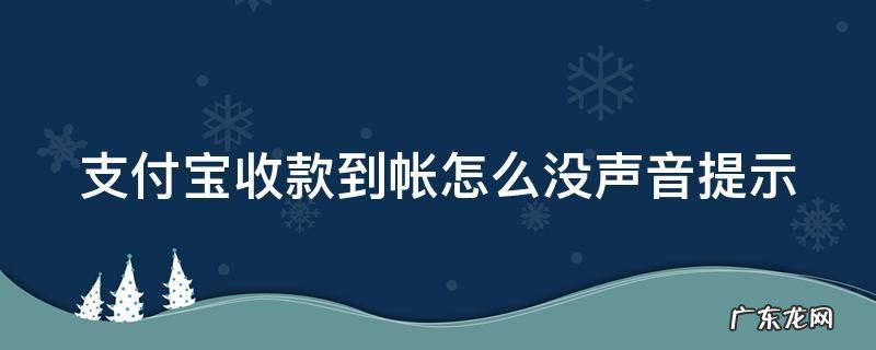 怎么支付宝收款到账后手机不会语音提示了 支付宝收款到帐怎么没声音提示