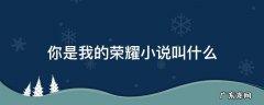 你是我的荣耀的小说是什么 你是我的荣耀小说叫什么