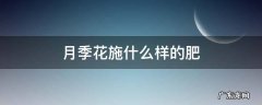 盆栽月季花施肥施什么肥料 月季花施什么样的肥