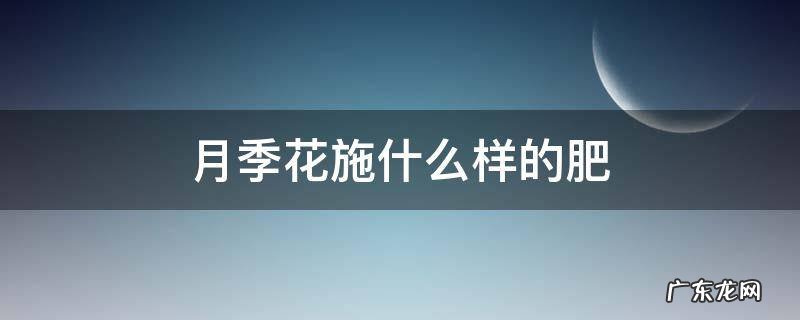 盆栽月季花施肥施什么肥料 月季花施什么样的肥