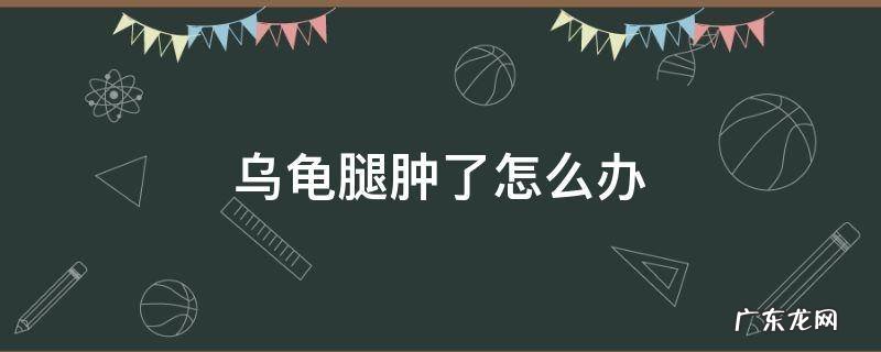 乌龟的后腿肿了怎么办 乌龟腿肿了怎么办