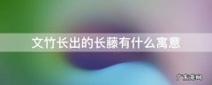 文竹长很长藤是怎么回事 文竹长出的长藤有什么寓意